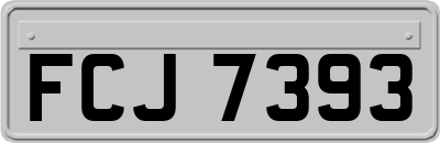 FCJ7393