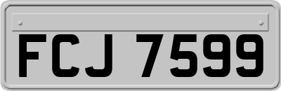 FCJ7599