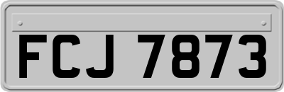 FCJ7873