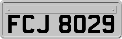 FCJ8029