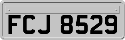 FCJ8529