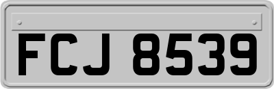FCJ8539
