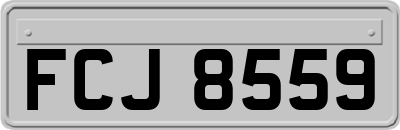 FCJ8559