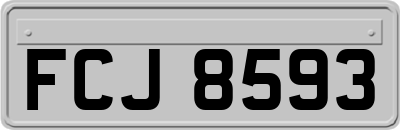 FCJ8593