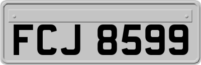 FCJ8599