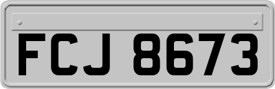 FCJ8673