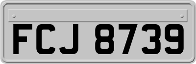 FCJ8739