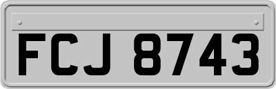 FCJ8743