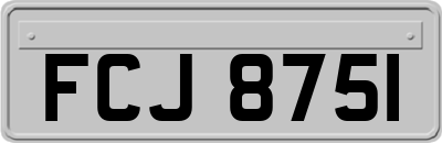 FCJ8751