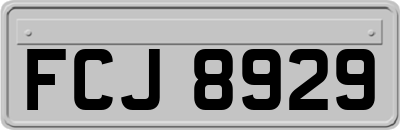 FCJ8929