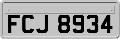 FCJ8934
