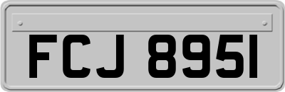 FCJ8951