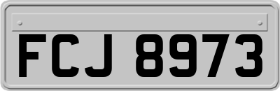 FCJ8973