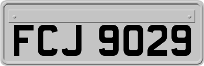 FCJ9029