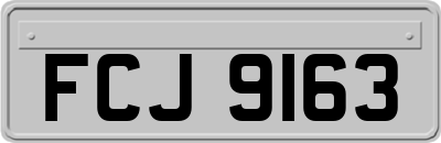 FCJ9163
