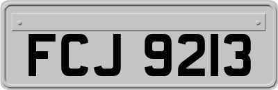 FCJ9213