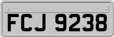FCJ9238