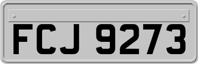 FCJ9273