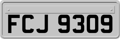 FCJ9309