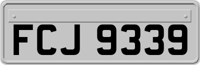 FCJ9339