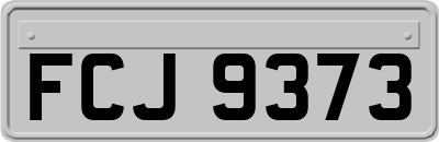 FCJ9373