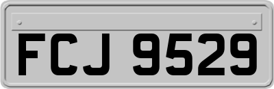 FCJ9529