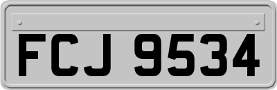 FCJ9534