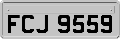 FCJ9559