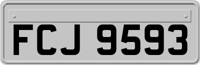 FCJ9593