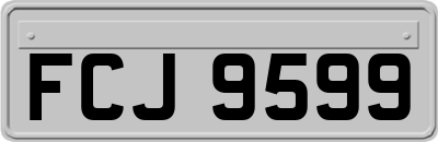FCJ9599