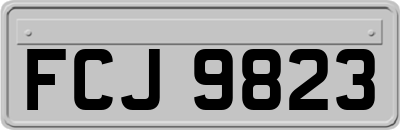 FCJ9823