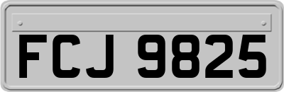 FCJ9825