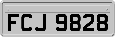 FCJ9828