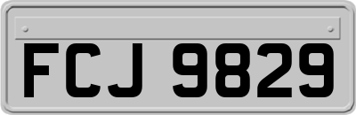 FCJ9829