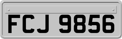 FCJ9856
