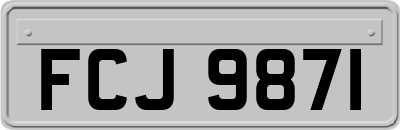 FCJ9871