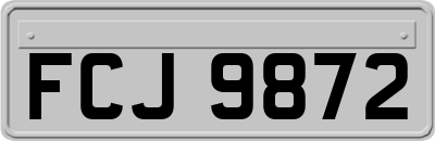 FCJ9872