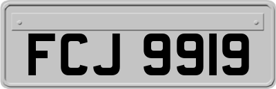 FCJ9919