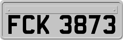 FCK3873