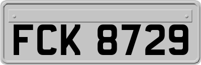 FCK8729