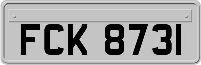 FCK8731