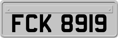 FCK8919