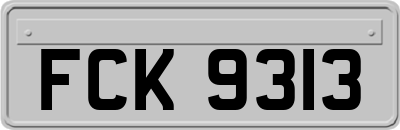 FCK9313