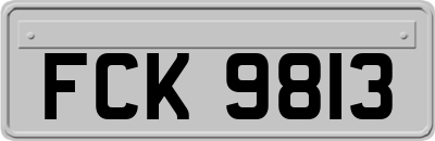 FCK9813