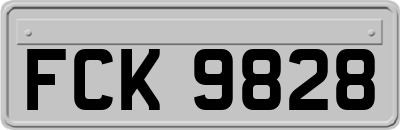 FCK9828