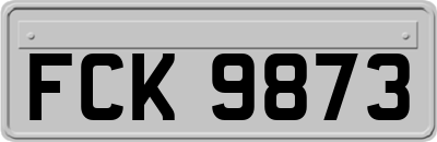 FCK9873
