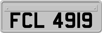 FCL4919
