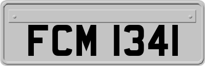 FCM1341