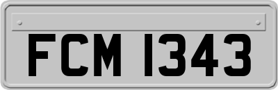 FCM1343