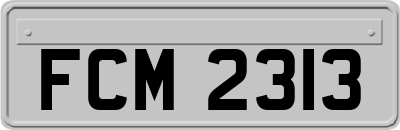 FCM2313